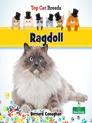 cover image of Ragdoll